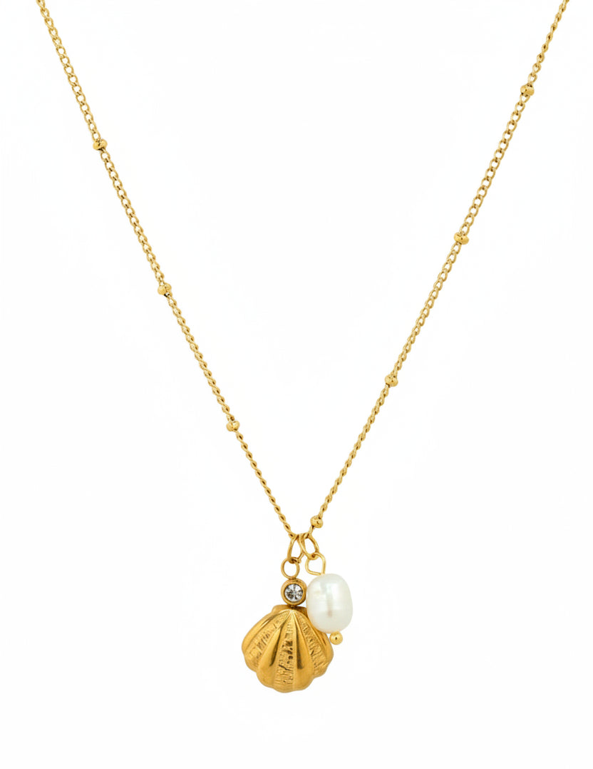 Stainless Scallop Shell Freshwater Pearl Charm Necklace