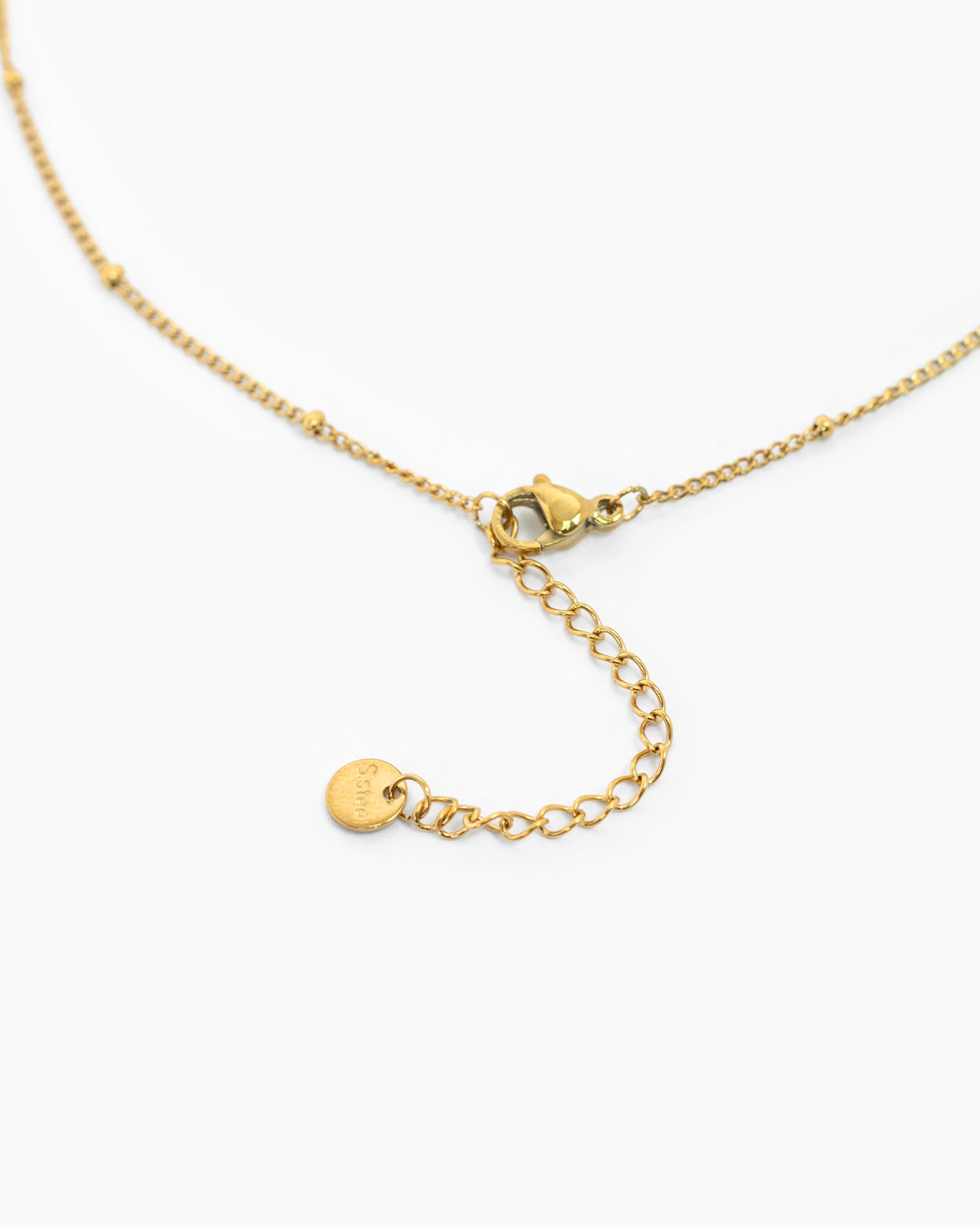 Stainless Scallop Shell Freshwater Pearl Charm Necklace