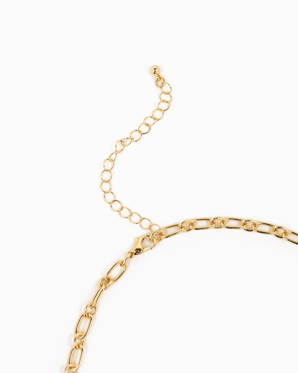 Lion's Head with CZ and Link Chain Coin Pendant Necklace-3