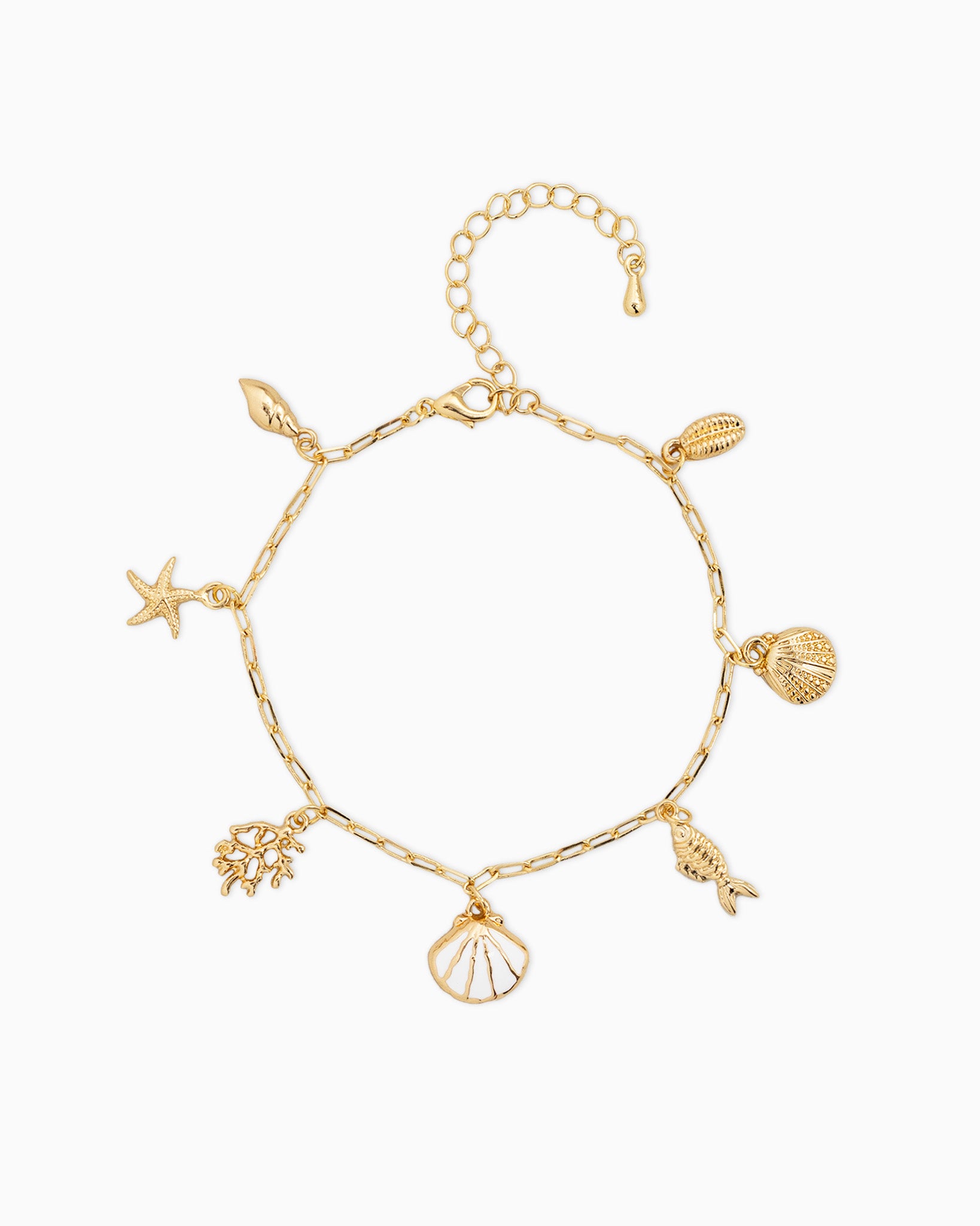 Clam Shell Sea Life Charm Bracelet Set of 3