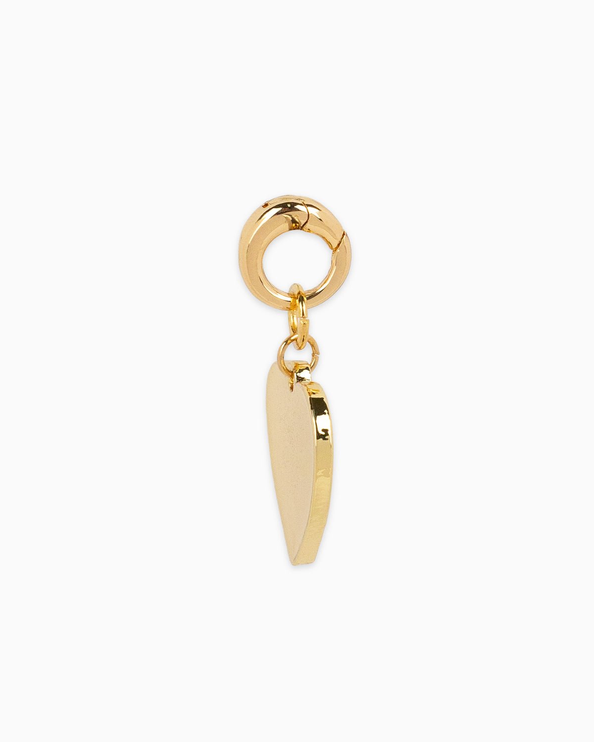 Gold Heart with Printed Dog Paw Jewelry Charm-4
