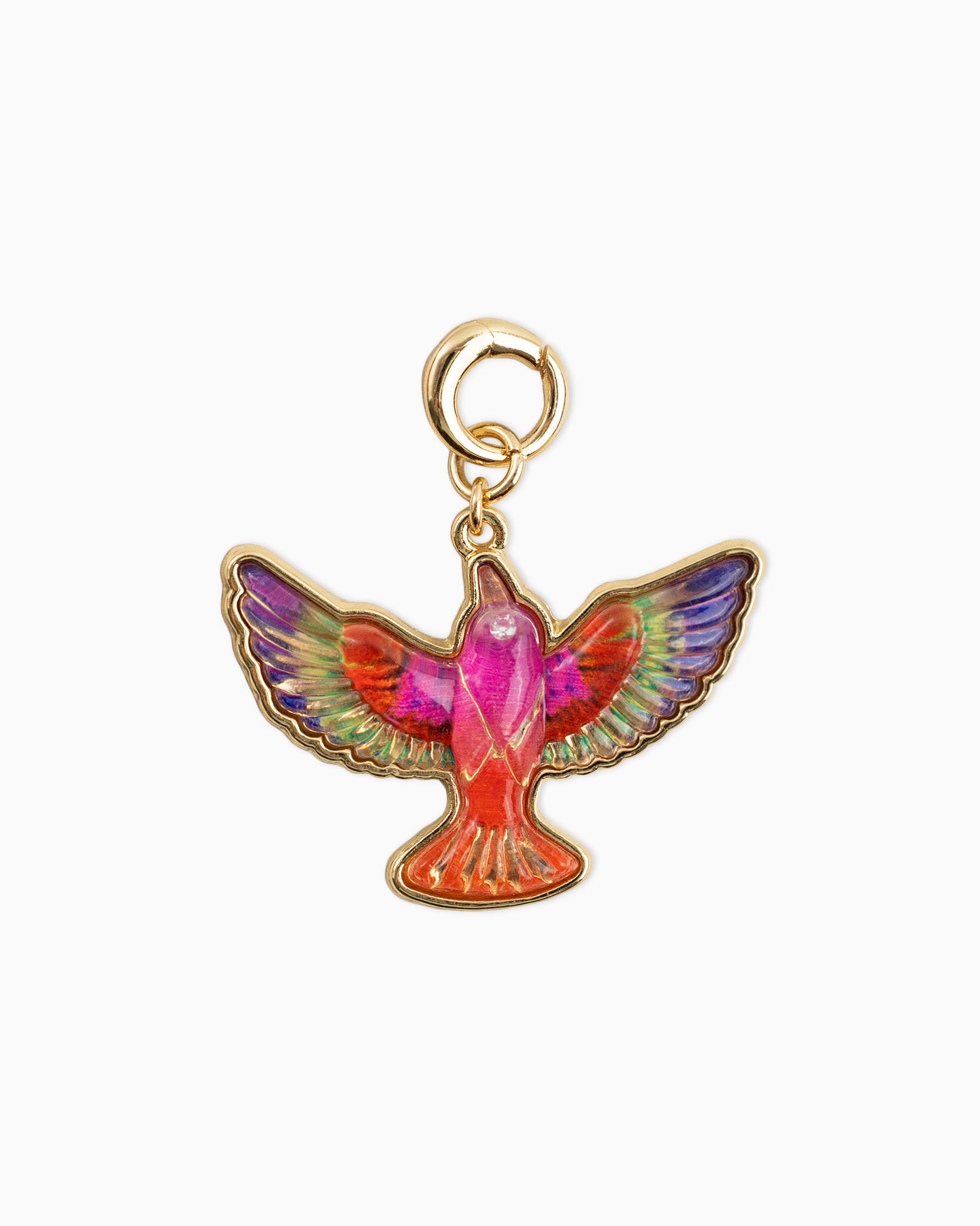 Rainbow Parrot CZ Charm